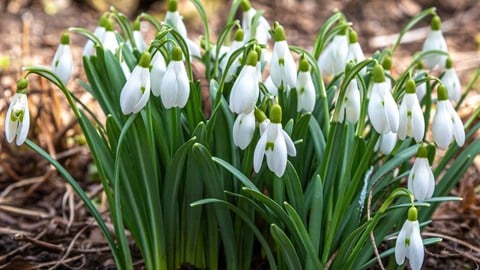 blog post image